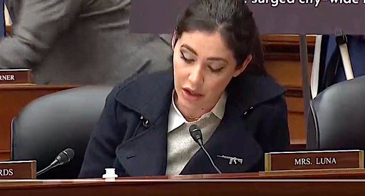 Florida GOP Rep. Anna Paulina Luna sports an assault rifle lapel pin even though there were six mass shootings in her state in January.