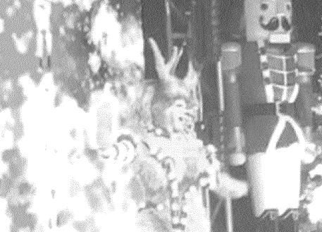 Grainy photos from the event provided by the Florida Department of Business and Professional Regulation show costumed drag performers.