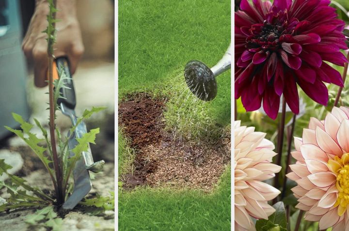 Do these simple garden jobs now so you're not left with loads to sort out in Spring