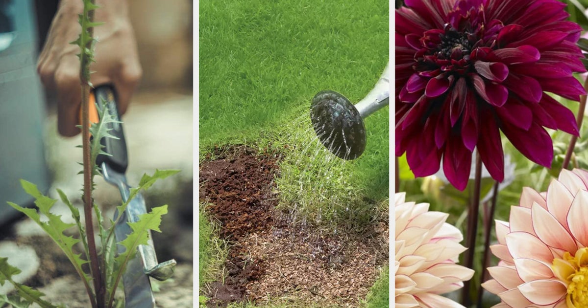 Get Your Garden Ready For Summer By Doing These Jobs Now HuffPost UK Life