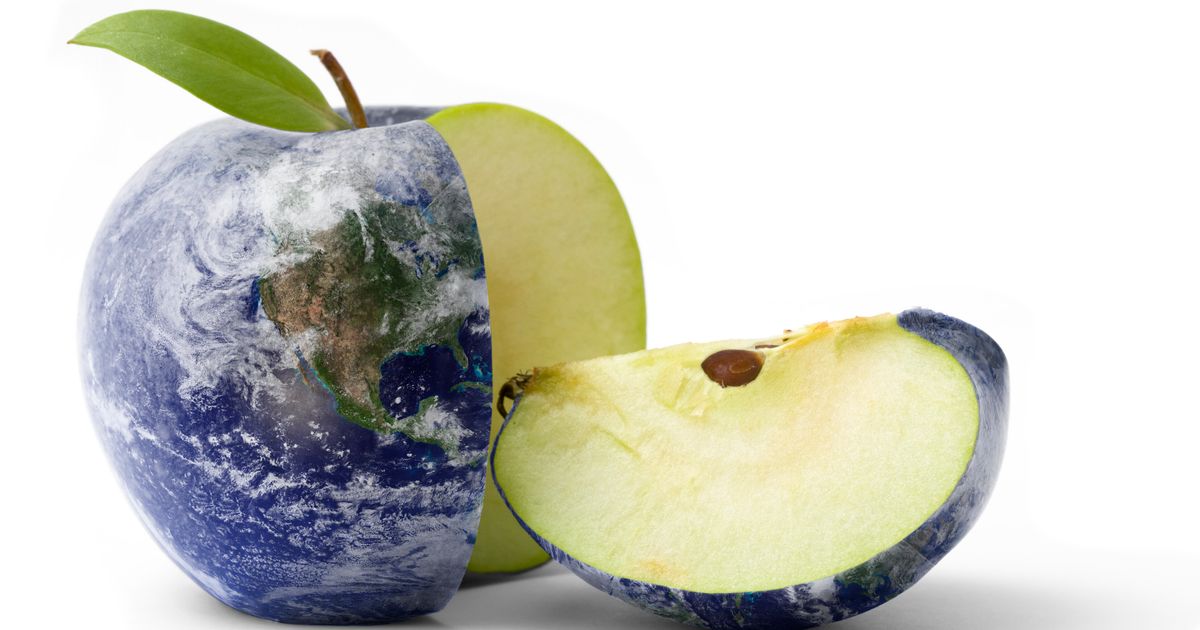 Can You Really Save The Planet With The ‘Right’ Food Choices?