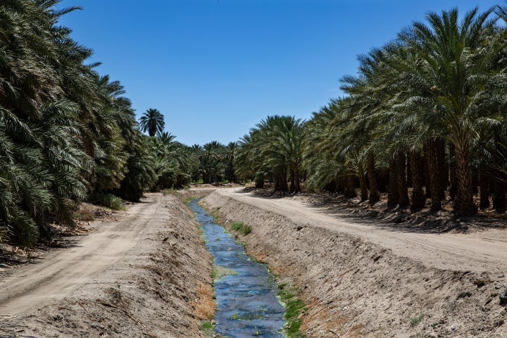 An irrigation ditch flows through a commercial date farm on the north shore of the Salton Sea, near Mecca, California.