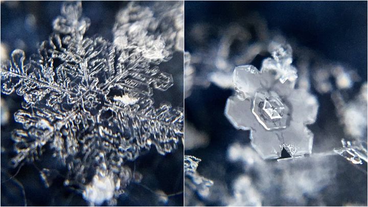 スマートフォンと100均のレンズで撮った雪の結晶