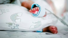  Polish Mother Of 7 Just Gave Birth To Quintuplets