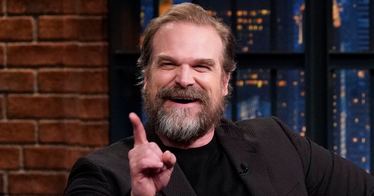 David Harbour Insists His Carpeted Bathroom Isn’t As Hideous As You Think