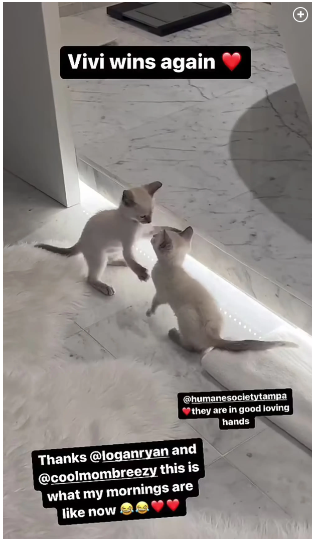 Tom Brady's Daughter Hijacked His Instagram, Shares Cat Photos