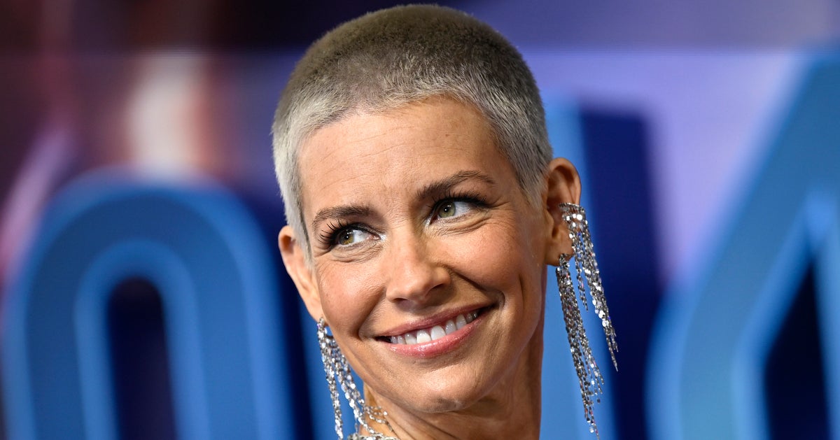 ‘Ant-Man’ Star Evangeline Lilly Name-Drops The Superhero Films She’s Turned Down ‘Ant-Man’ Star Evangeline Lilly Name-Drops The Superhero Films She’s Turned Down