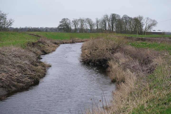 The location on the River Wyre near St Michael's on Wyre, Lancashire, where police recovered a body on Sunday.
