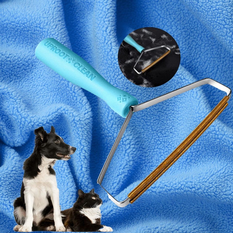 The 15 Best Pet Hair Removers for Laundry, Carpets, and Furniture