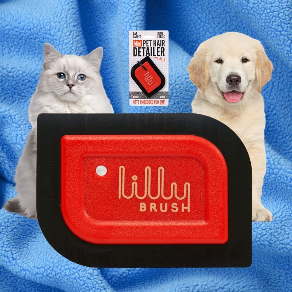 Lilly Brush Pro Pet Hair Tool Kit (for Dog Hair and Cat Hair Embedded in  Cars, Carpets, Cat Trees, and Fabrics) 