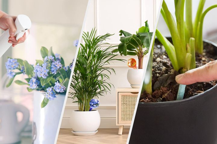 You’ll have created your own sanctuary of greenery in no time.