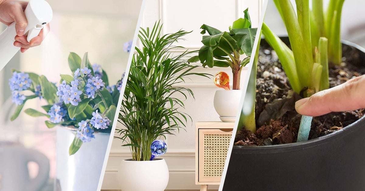 Photo of 24 Little Buys That Will Turn You From Houseplant Killer Into Green-Fingered Plant Parent