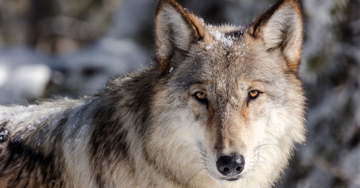 NextImg:An Experiment In Colorado Will Put Doomsday Fears To The Test