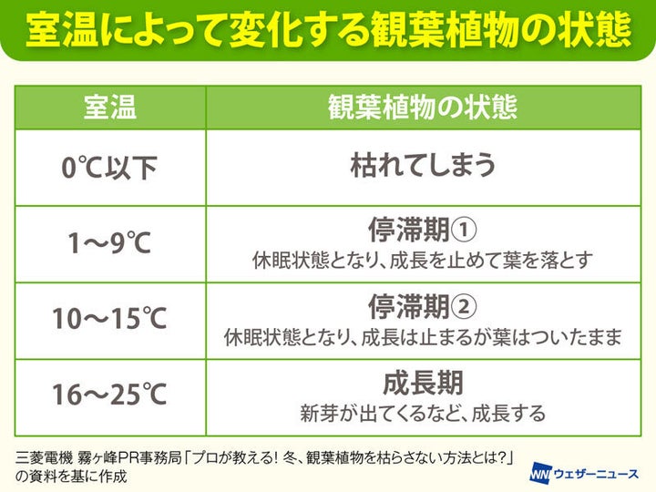 室温によって変化する観葉植物の状態