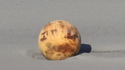 浜松の謎の鉄球が世界でも話題に。「ドラゴンボール？」「ゴジラの卵か」