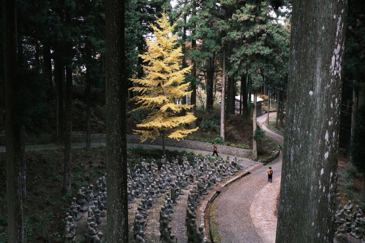 A golden ginkgo tree and some of the 500 rakan (Buddhist ascetics) statues at Unpenji, Temple No. 66 of the 88-temple Ohenro pilgrimage trail in Shikoku.