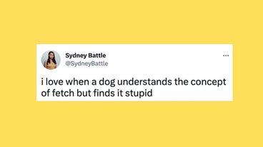 Funny Tweets Funny Tweets