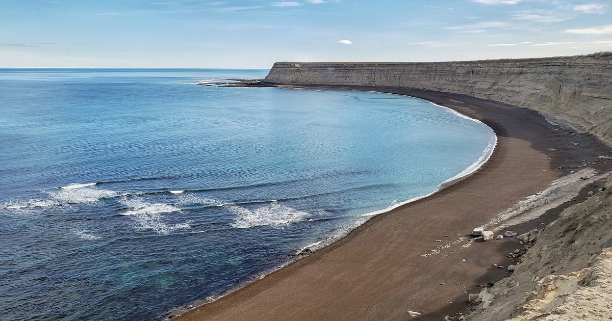 NextImg:Argentine Fishermen Find Remains Of Missing Man Inside Shark