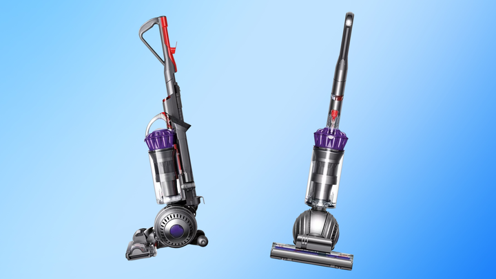 Dyson slim deals ball animal