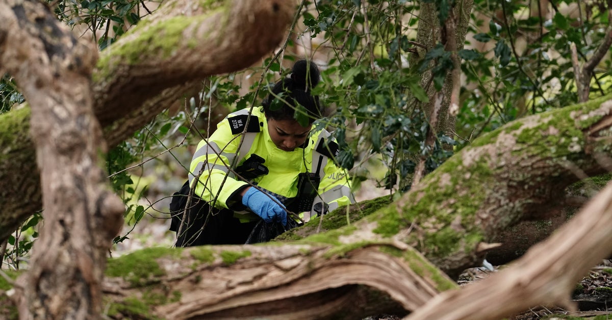 NextImg:Baby's Remains Found After Missing British Aristocrat Nabbed With Partner