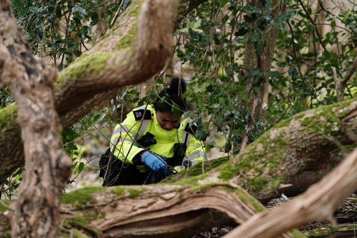 A police officer searches woodland at the Wild Park Local Nature Reserve near Brighton, England.