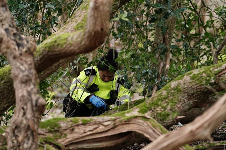 A police officer searches woodland at the Wild Park Local Nature Reserve near Brighton, England.