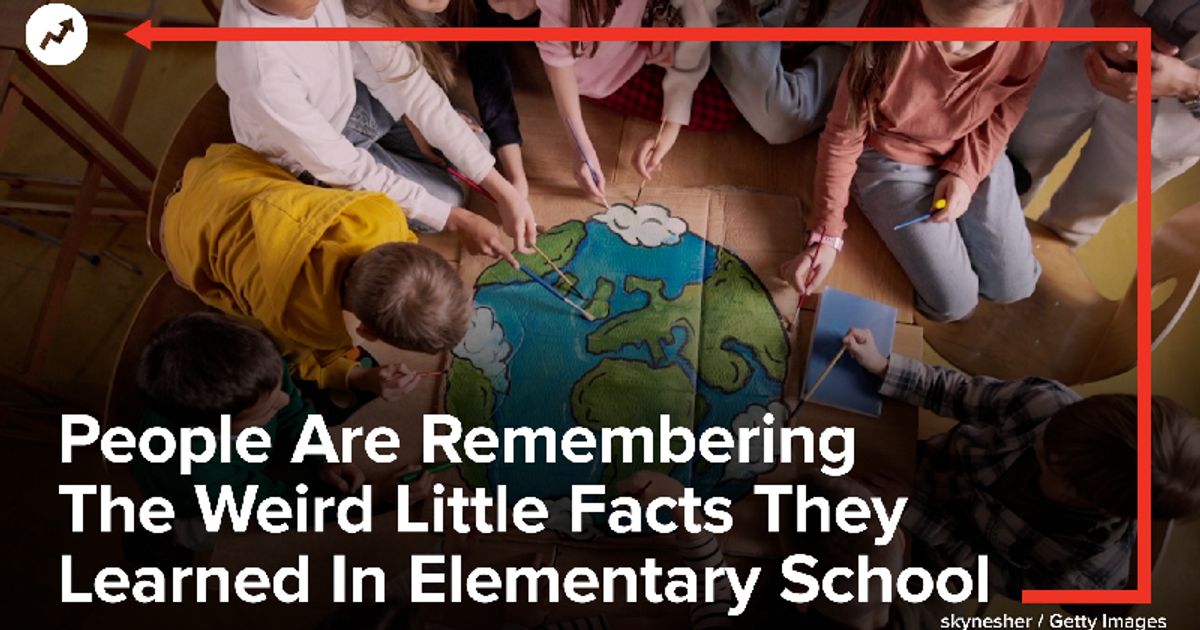 Photo of People Are Remembering The Weird Little Facts They Learned In Elementary School
