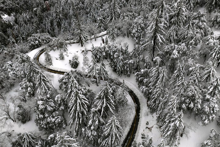 State Route 138 winds through snow-covered trees near Hesperia, California, Wednesday, March 1, 2023.