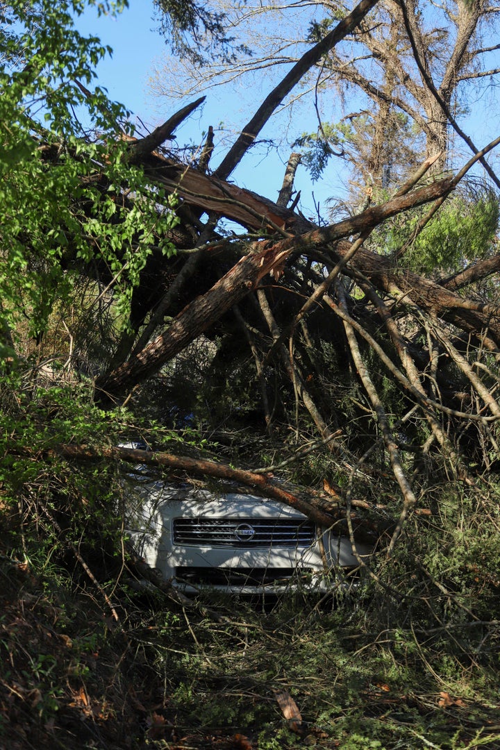 A car parked at Lynda Circle in Red Bank, Tennessee is seen under a fallen tree following storms Friday, March 3, 2023.