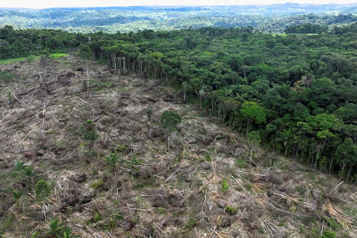 Μια εναέρια φωτογραφία δείχνει μια αποψιλωμένη περιοχή κατά τη διάρκεια μιας επιχείρησης για την καταπολέμηση της αποψίλωσης κοντά στην Ουρούα, στην Πολιτεία Παρά, Βραζιλία, 21 Ιανουαρίου 2023.