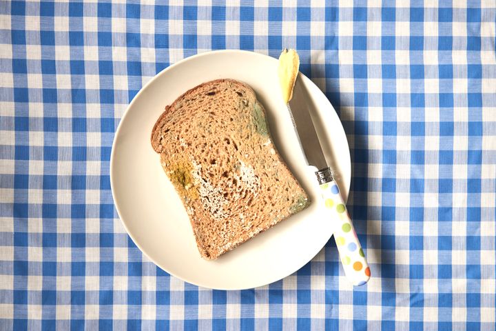 Mould on bread