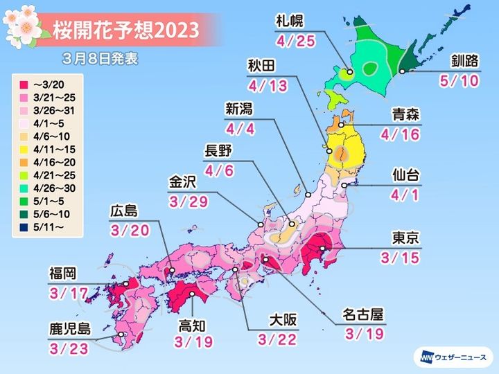 桜開花予想2023