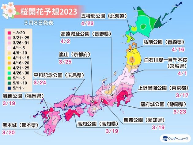 桜開花予想2023