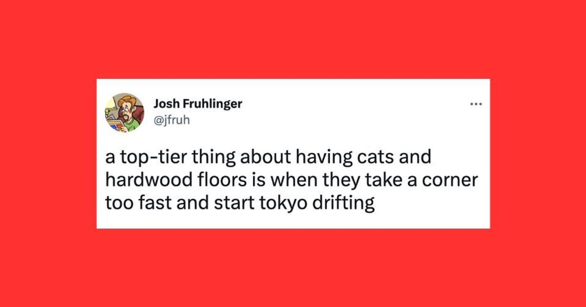 NextImg:22 Of The Funniest Tweets About Cats And Dogs This Week