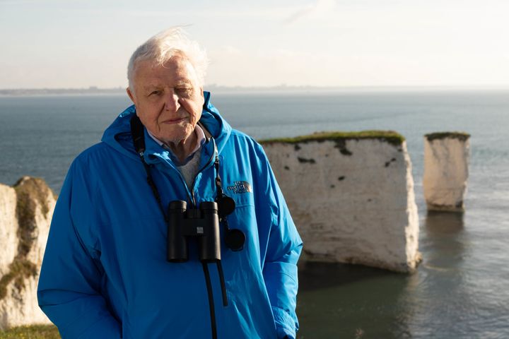 Sir David Attenborough in Dorset as part of his new show Wild Isles