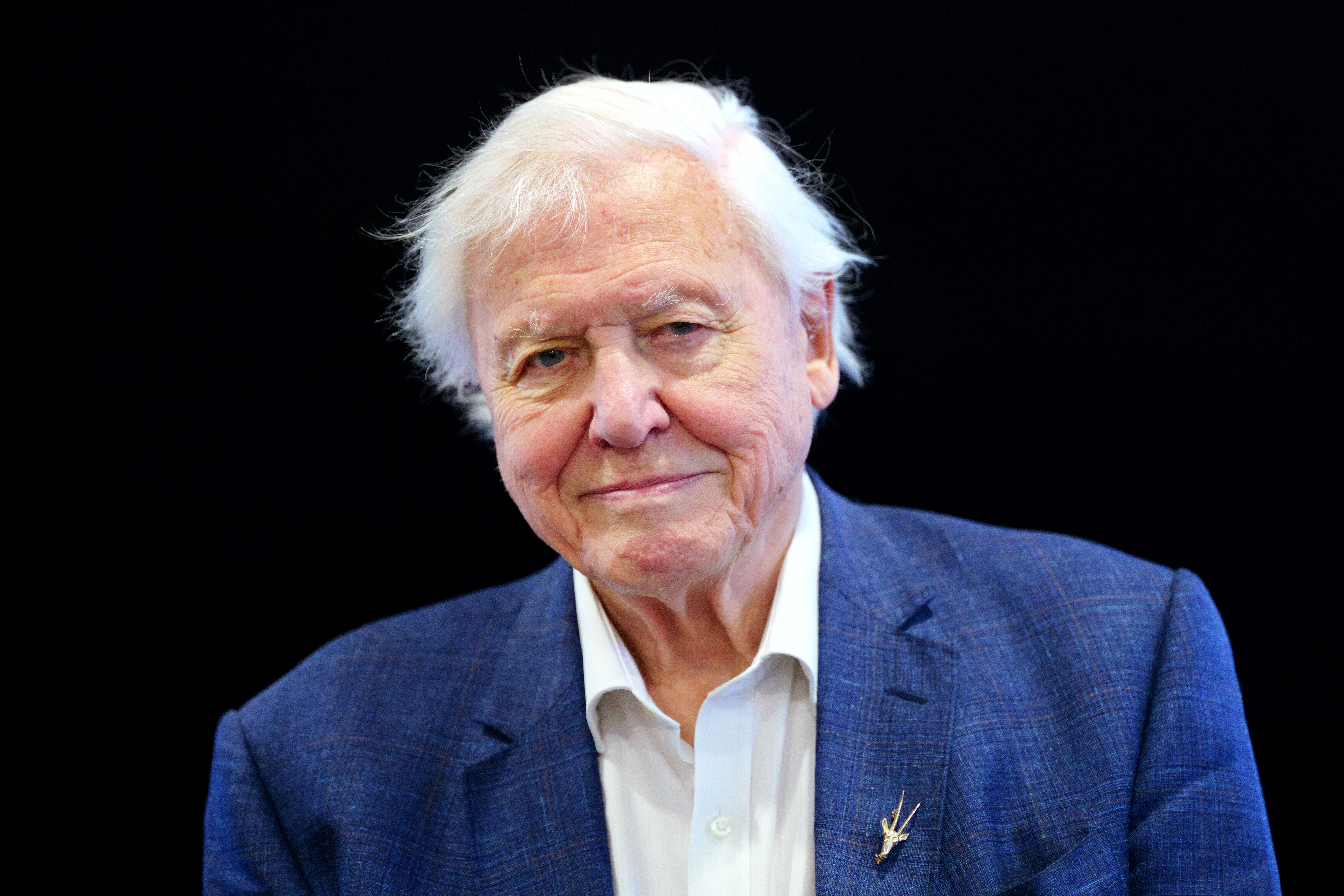 BBC Denies Pulling David Attenborough Nature Doc To Avoid Angering ...