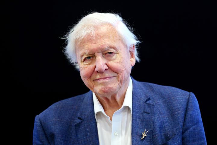 Sir David Attenborough, 96.