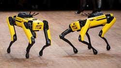 犬型ロボットがモデルの服を脱がす。ファッションショーに登場したシュールな光景【動画】