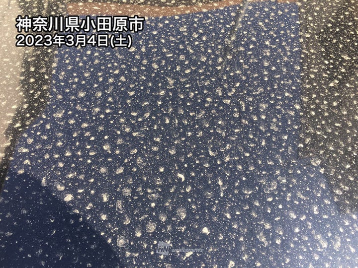 車のボンネットに付着した花粉