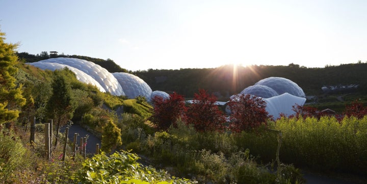 THE EDEN PROJECT: THE BIOMES