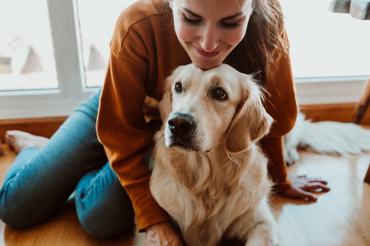 Research suggests that dogs and cats can grieve after a loss.