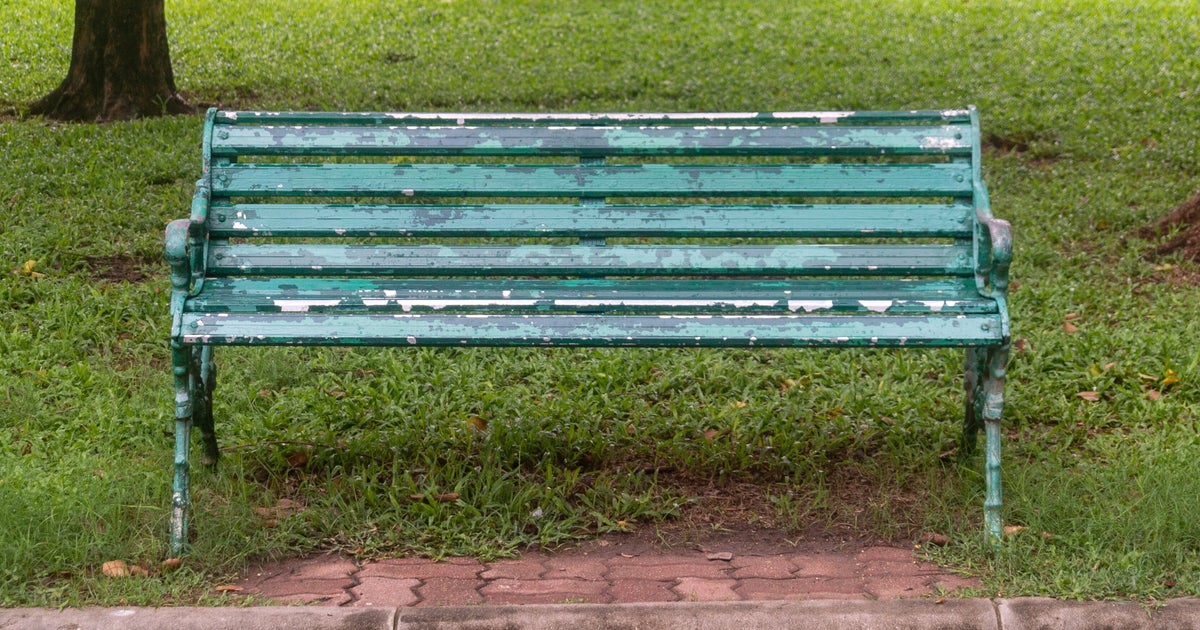 NextImg:'Freak Accident': 7 Injured After Tree Branch Falls On Benches At San Antonio Zoo