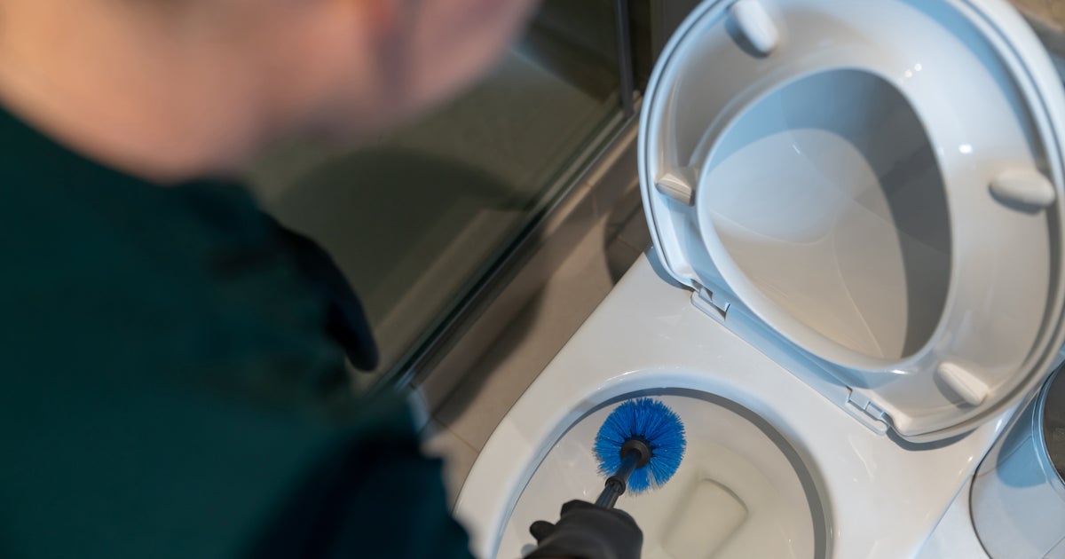 This Is How Often You Should Actually Change Your Toilet Brush And We