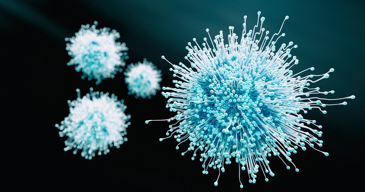 NextImg:New COVID Origins Data Suggests Pandemic Originated From Animals