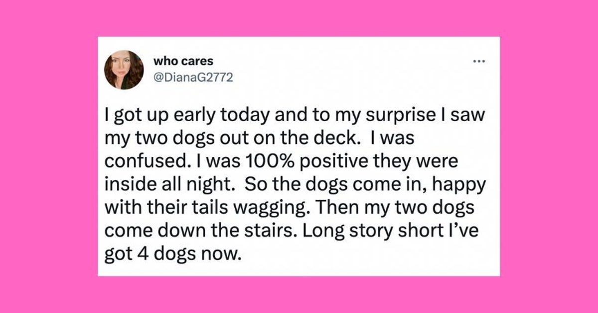 NextImg:23 Of The Funniest Tweets About Cats And Dogs This Week