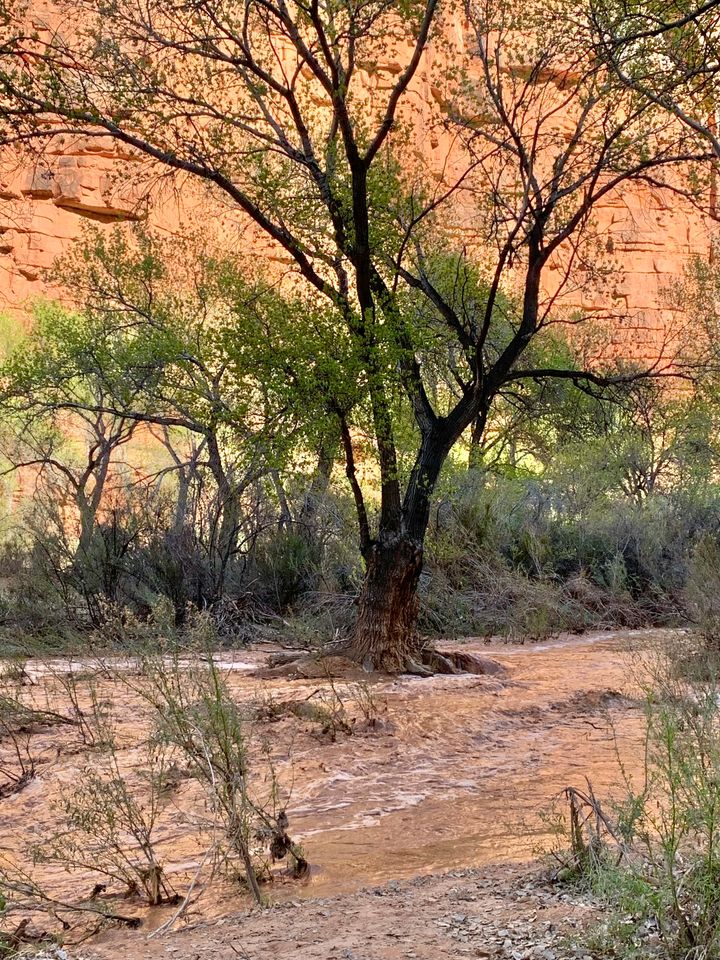 Floodwaters were starting to recede as of Saturday morning, according to a Facebook post from the Havasupai Tribe Tourism page.