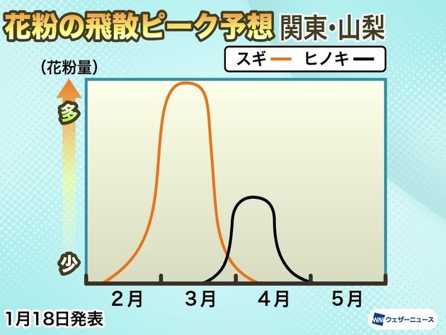 花粉の飛散ピーク予想