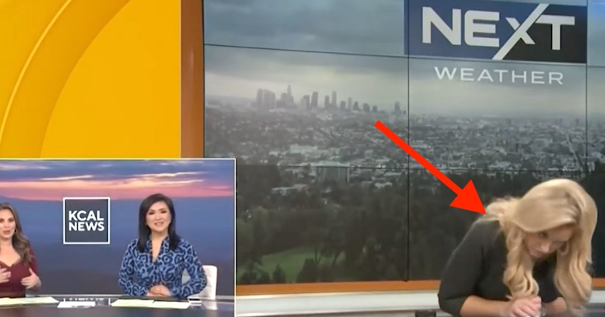 NextImg:CBS Los Angeles Meteorologist Collapses In Frightening Scene On Live TV