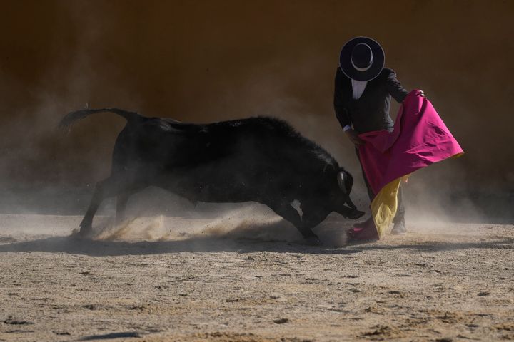 Colombia is one of just eight countries where bullfights are still legal, but legislators are proposing a new law to ban them.