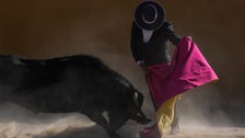 Bullfighting Ban Faces Critical Legislative Vote In Colombia Bullfighting Ban Faces Critical Legislative Vote In Colombia